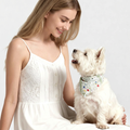 Small white dog wearing a floral botanical print bandana matching the owner's scarf